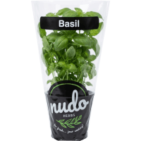 Basil Herbs (1pk)