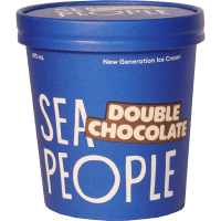 Double Chocolate Ice Cream (473ml)