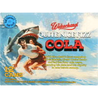 Quite Nice Fizz Cola Soft Drink (12 x 330ml)