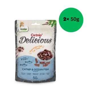 Dentalight Catnip & Ocean Fish Cat Treats - 100g (2 x 50g)