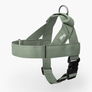Dog Friendly Co. Premium Dog Harness - Extra Large, Khaki