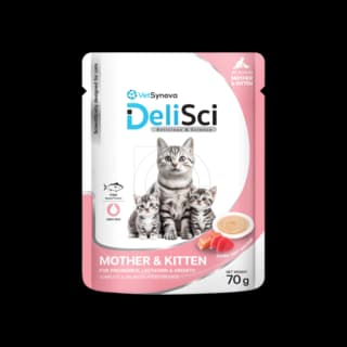 VetSynova DeliSci Mother & Kitten Mousse Wet Cat Food - 70g x 12 (pack)