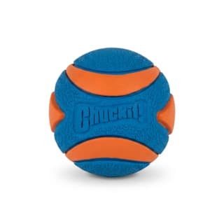 Chuckit! Ultra Squeaker Ball Dog Toy - Small 2 Pack