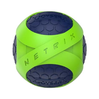 JOYSER Netrix TPR Rubber Ball Dog Toy - Green/ Blue