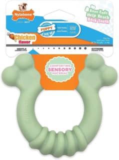 Nylabone Puppy Chew Tactile Ring Chew Toy - Small