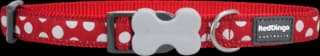 Red Dingo Spots Adjustable Dog Collar - Small