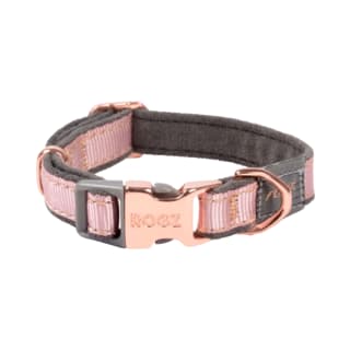 Rogz Urban Classic Dog Collar - Extra Small, Pink Blush