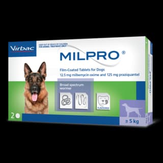 Milpro All Wormer Tablets for Dogs - Over 5kg - 2 Pack