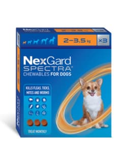 NexGard Spectra Flea Tick & Worm Treatment Chew for Dogs - 2 - 3.5kg, 3 Pack