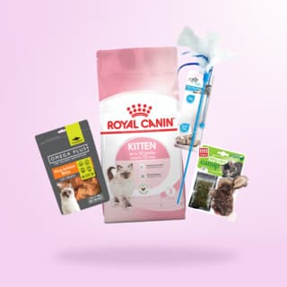 Petdirect Purrfect Kitten Goody Box - Kitten
