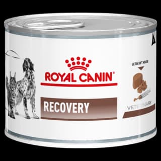 Royal Canin Vet Recovery Wet Dog and Cat Food - 195g