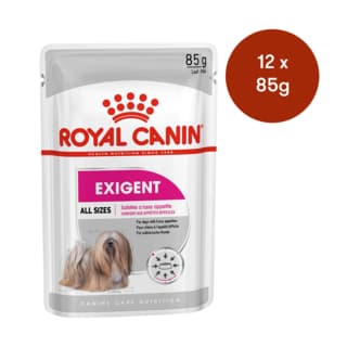 Royal Canin Exigent Loaf Adult Wet Dog Food - 85g x 12