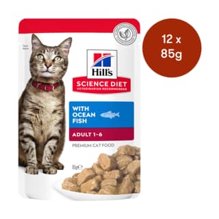 Hill's Science Diet Adult Ocean Fish Wet Cat Food - 85g x 12