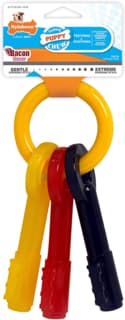 Nylabone Puppy Teething Keys Chew Toy - Large