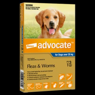 Advocate Spot-On Flea & Worm Treatment for Dogs 25kg+ - 3 Pack