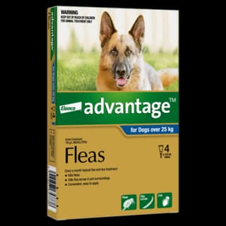 Advantage Spot-On Flea Treatment for Dogs 25kg+ - 4pk