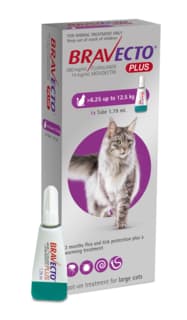 Bravecto Plus Spot-On Flea Tick & Worm Treatment for Cats - 6.25 - 12.5kg