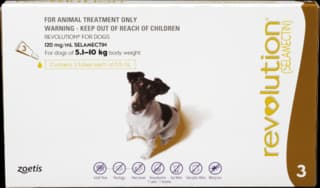 Revolution Spot-On Flea Treatment for Dogs - 5.1 - 10kg, 3 Pack