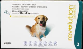 Revolution Spot-On Flea Treatment for Dogs - 20.1 - 40kg, 3 Pack