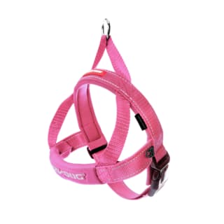 EzyDog Quick Fit Dog Harness - Pink, Extra Small