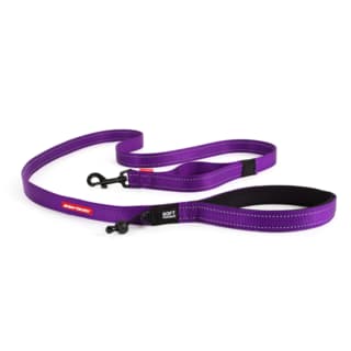 EzyDog Soft Trainer Dog Standard - Purple
