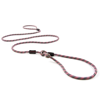 EzyDog Luca Dog Lead - Red, Lite