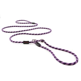 EzyDog Luca Dog Lead - Purple, Lite