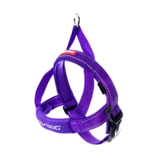 EzyDog Quick Fit Dog Harness - Purple, Large