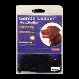 Beau Gentle Leader Dog Head Collar Black - Medium