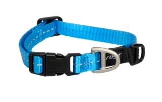 Rogz Utility Classic Dog Collar - Small, Turquoise