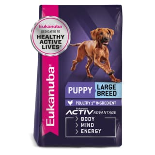 Eukanuba Puppy Large Breed Dry Dog Food - 15kg