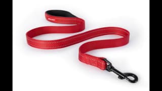 EzyDog Essential Dog Lead - 120cm, Red
