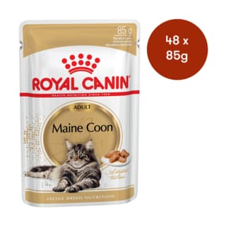 Royal Canin Maine Coon Adult Wet Cat Food - 85g x 48
