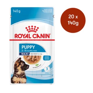 Royal Canin Maxi Puppy Gravy Wet Dog Food - 140g x 20
