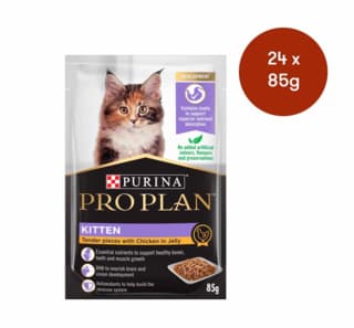 Pro Plan Kitten Chicken in Jelly Wet Cat Food - 85g x 24
