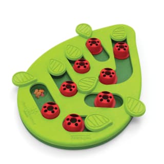 Nina Ottosson Buggin Out Puzzle & Play Interactive Cat Treat Puzzle - Treat Puzzle