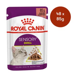 Royal Canin Sensory Smell in Gravy Wet Cat Food - 85g x 48
