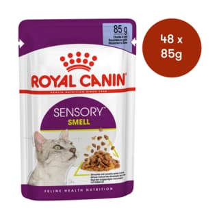 Royal Canin Sensory Smell in Jelly Wet Cat Food - 85g x 48