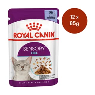 Royal Canin Sensory Feel in Jelly Wet Cat Food - 85g x 48