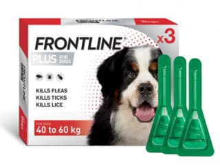 Frontline Plus Flea & Tick Spot-On Treatment for Dogs - 40-60kg