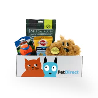 Petdirect Best Sellers Dog Toy & Treat Goody Box - Large Breed