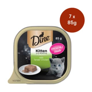 Dine Tender Chicken Kitten Wet Cat Food - 85g x 7