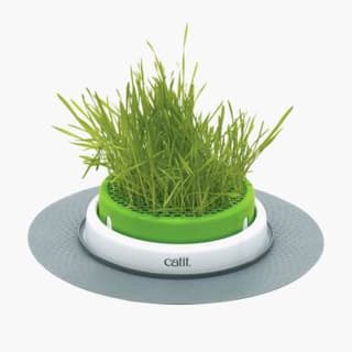 Catit Senses 2.0 Cat Grass Planter - Grass Planter