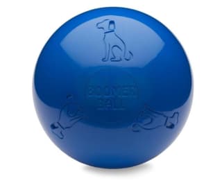 Company of Animals Boomer Ball Dog Toy - 250mm