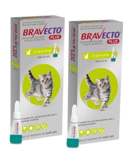 Bravecto Plus Spot-On Flea Tick & Worm Treatment for Cats - 2 x 1.2 - 2.8kg