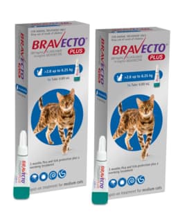 Bravecto Plus Spot-On Flea Tick & Worm Treatment for Cats - 2 x 2.8 - 6.25kg