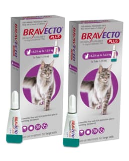 Bravecto Plus Spot-On Flea Tick & Worm Treatment for Cats - 2 x 6.25 - 12.5kg