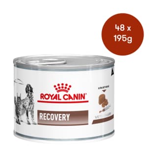 Royal Canin Vet Recovery Wet Dog and Cat Food - 195g x 48