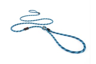 EzyDog Luca Dog Lead - Blue, Lite