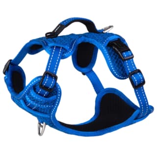 Rogz Utility Explore Dog Harness - Blue, Medium